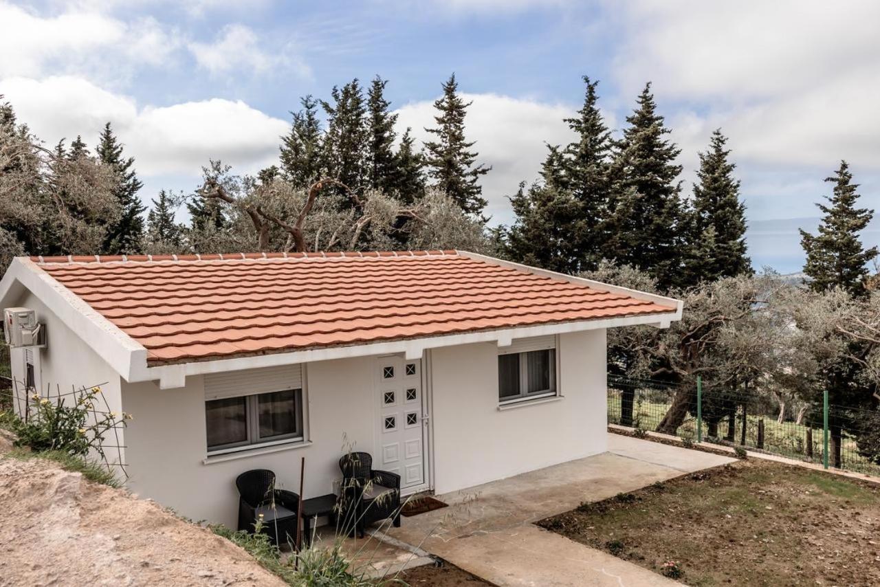 Olive Grove Διαμέρισμα Bar Εξωτερικό φωτογραφία